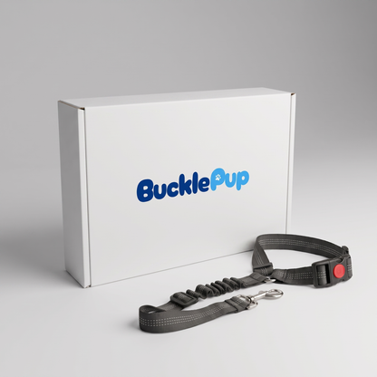 BucklePup™ 3-in-1 Safety Leash