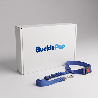 BucklePup™ 3-in-1 Safety Leash