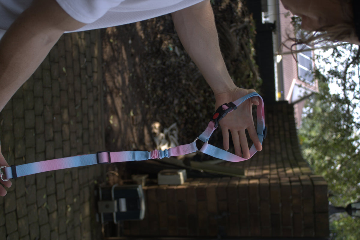 The multi-colour BucklePup leash held with its bungee section relaxed.