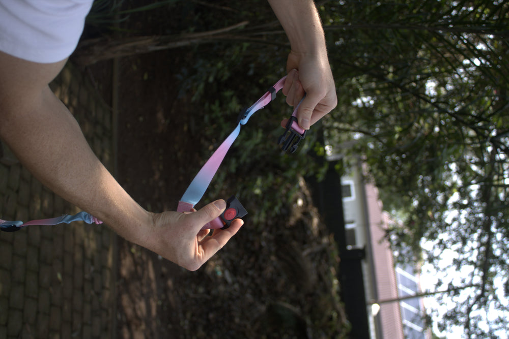 Hands holding the two separated ends of the multi-colour BucklePup buckle.